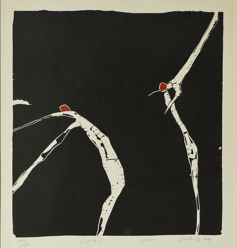 Human Shoulder Blade