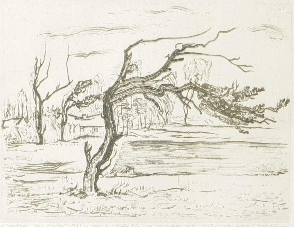 Landkaart Enkhuizen 1