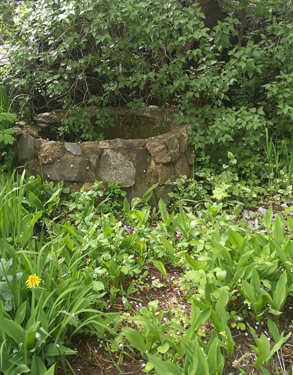 Paslaptingas Šulinys - Barzdukaitė-Vaitkūnienė Aušra art collectible - Main Image 3