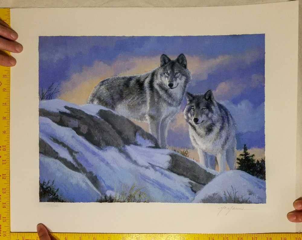 Aeros/Rubberducks - Inagural Season