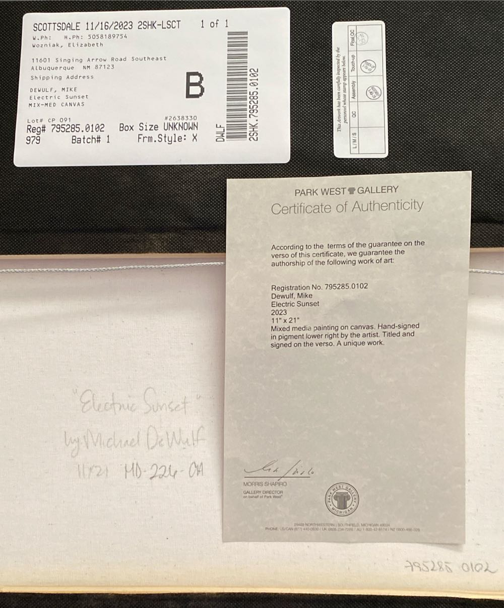 Electric Sunset - Michael DeWulf art collectible - Main Image 3