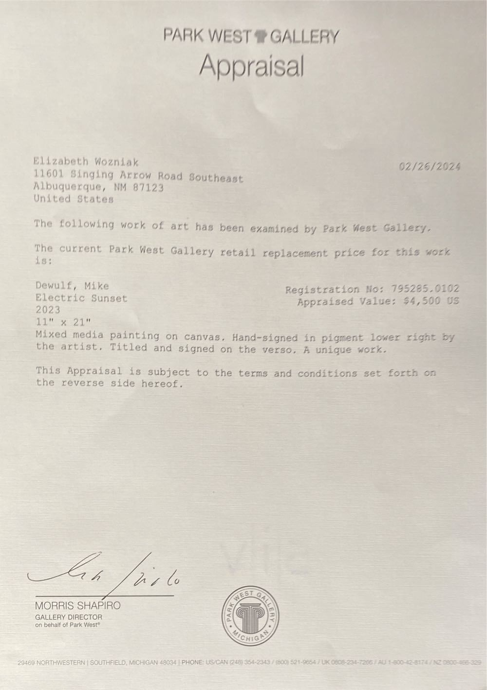 Electric Sunset - Michael DeWulf art collectible - Main Image 4