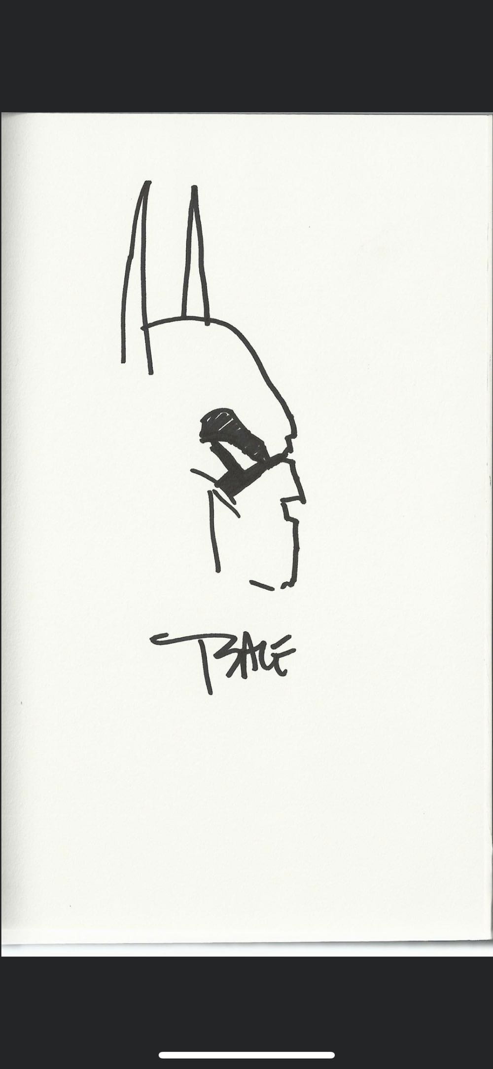 Batman - Tim Sale art collectible - Main Image 2