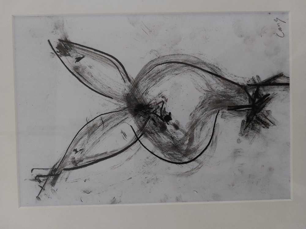 Cane Francky - Houtskool Tekening art collectible - Main Image 3