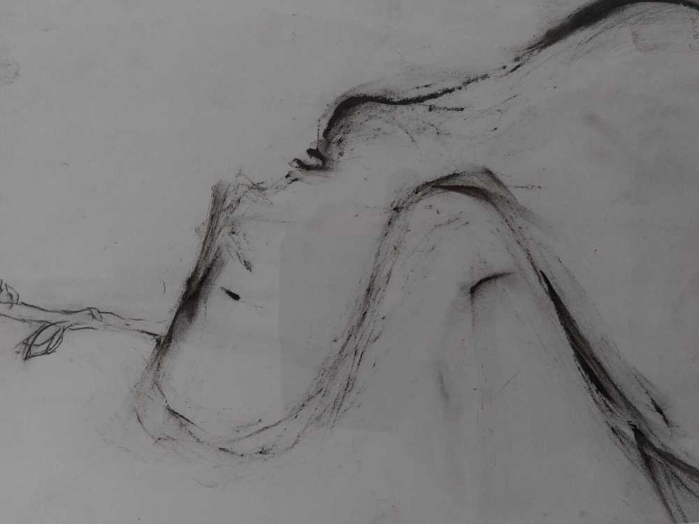 Cane Francky - Houtskool Tekening art collectible - Main Image 3