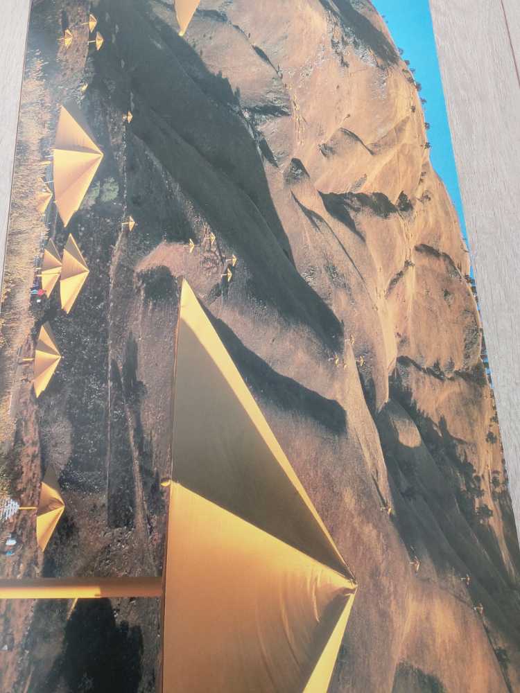 Water village and palms