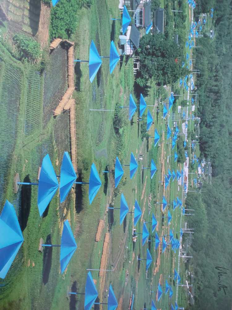 Big Twist Living Yarn..3.85 Oz..199 Yds...cream