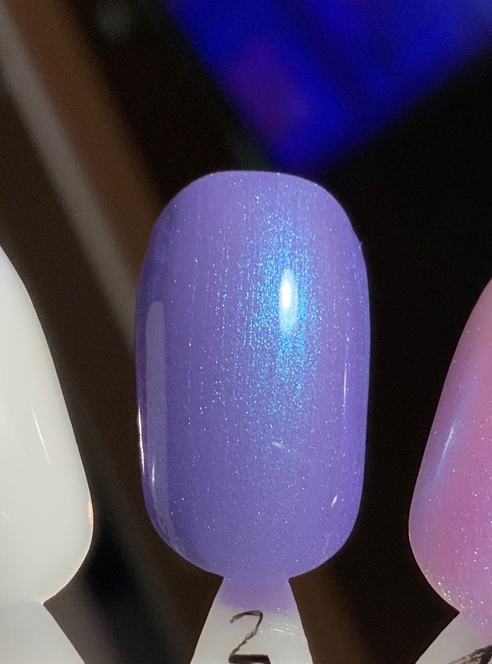 FOR THE KOALAS - BKL art collectible - Main Image 2