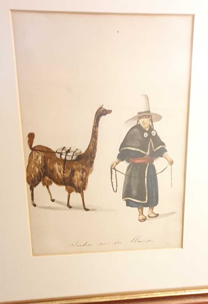 India con su Llama - Pancho (After) Fierro art collectible - Main Image 2