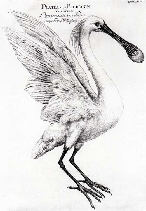 Slayer Poster Skulagram Roule Movies 91.5x61