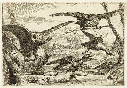 Harry Potter And The Sorcerer’s Stone MinaLima Edition