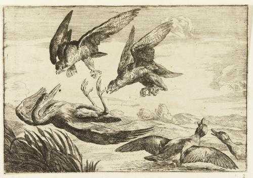 Insull clinton Detweiler