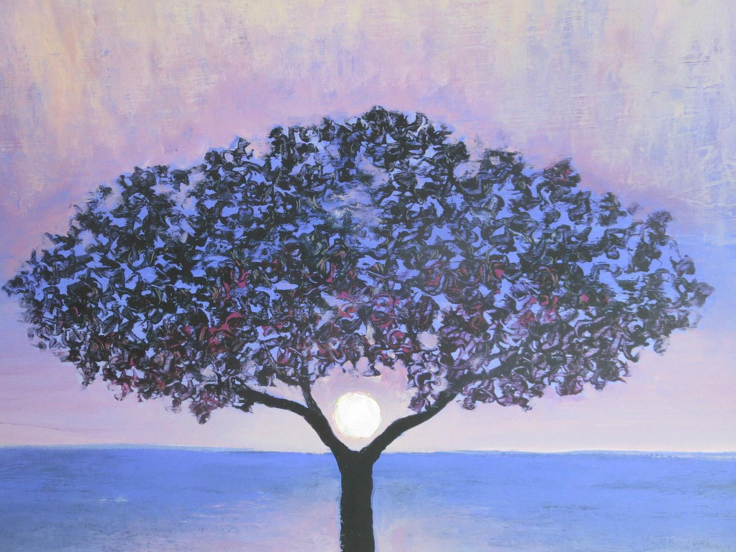 Star Wars Limited Edition Collectible Lithograph