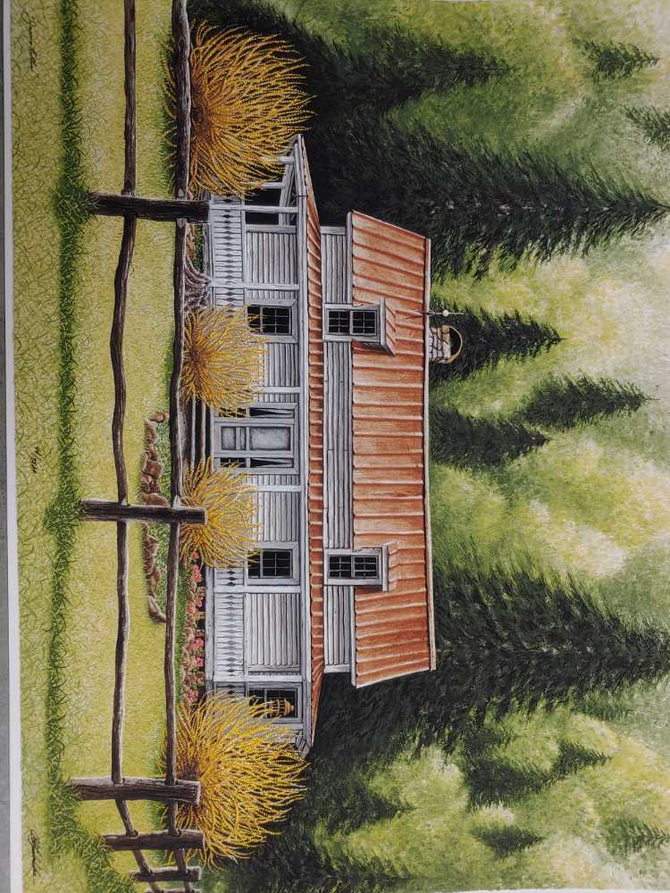 Photos Of Mt. Rainier NP