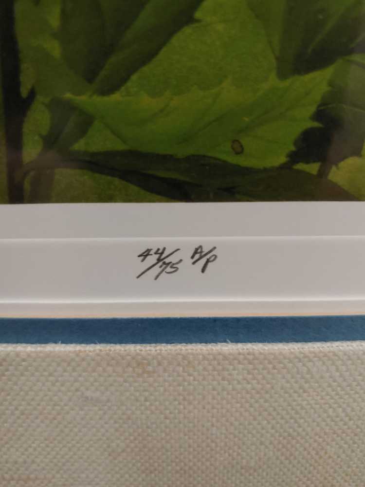 Blueberries  - Bob Timberlake art collectible - Main Image 3