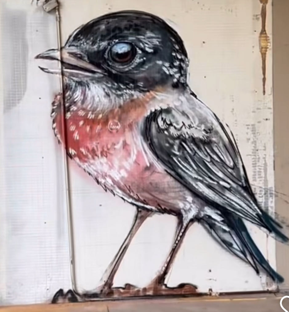 Downstairs Bathroom Painting 5