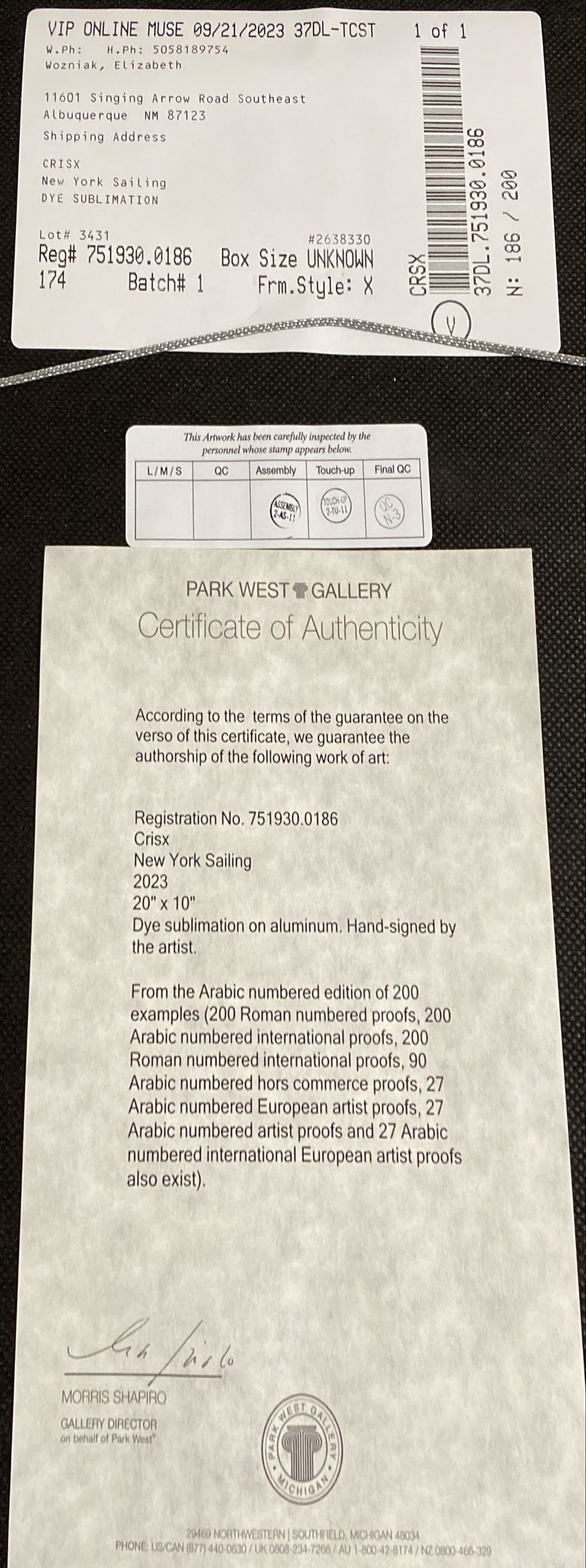 New York Sailing - Cris X art collectible - Main Image 3