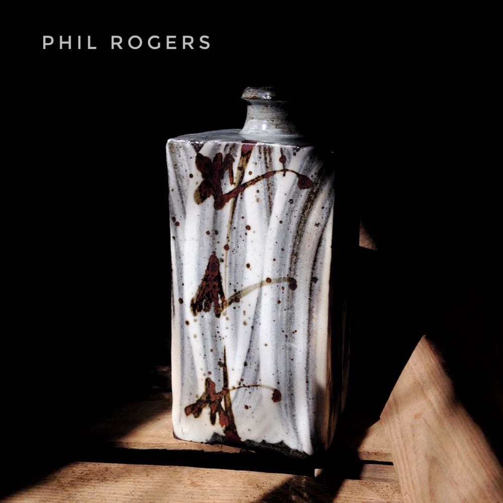 Spellbinders Diagonal Stripes Slimline Embossing Folder Ses024