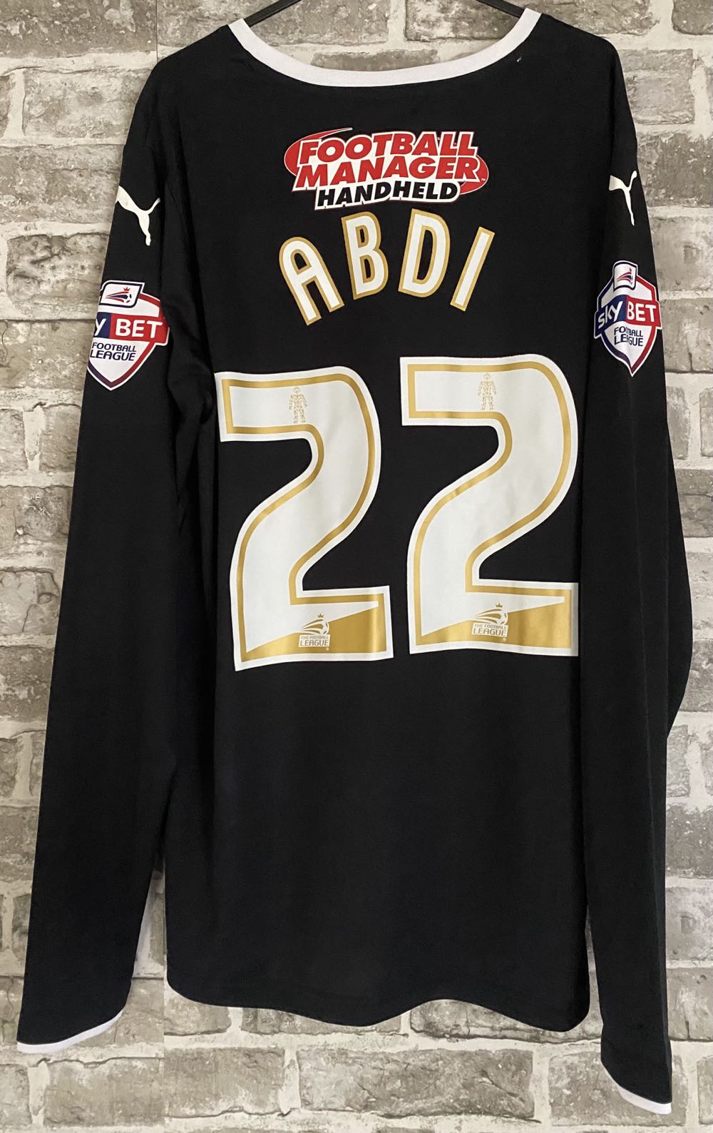 Downstairs Bathroom Painting 3