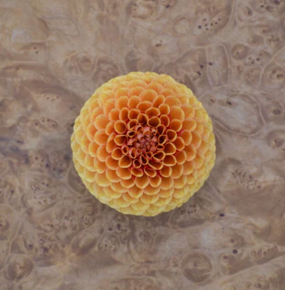 The Art Of Jim Warren: An American Original