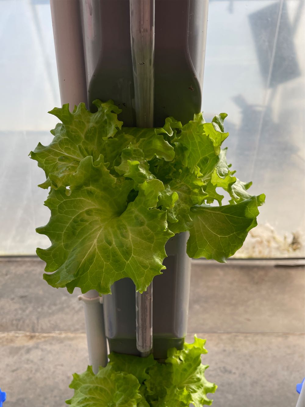 434  art collectible - Main Image 2