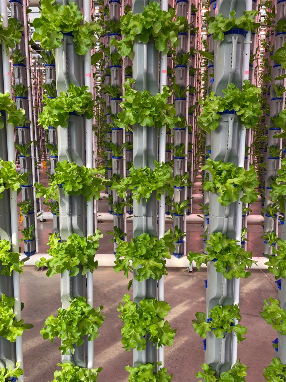 BAU  art collectible - Main Image 2