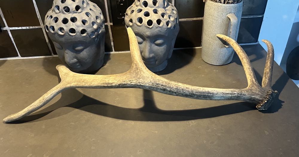 Print on Vintage Book Page: Lady Rabbit