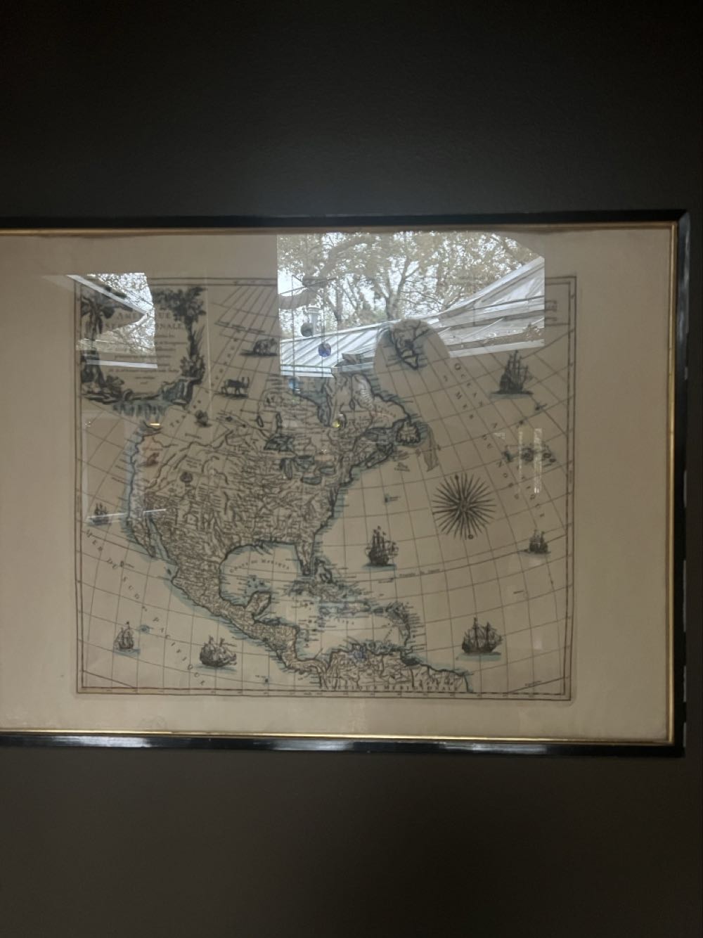 Darrell Osher Bike Riding Dog