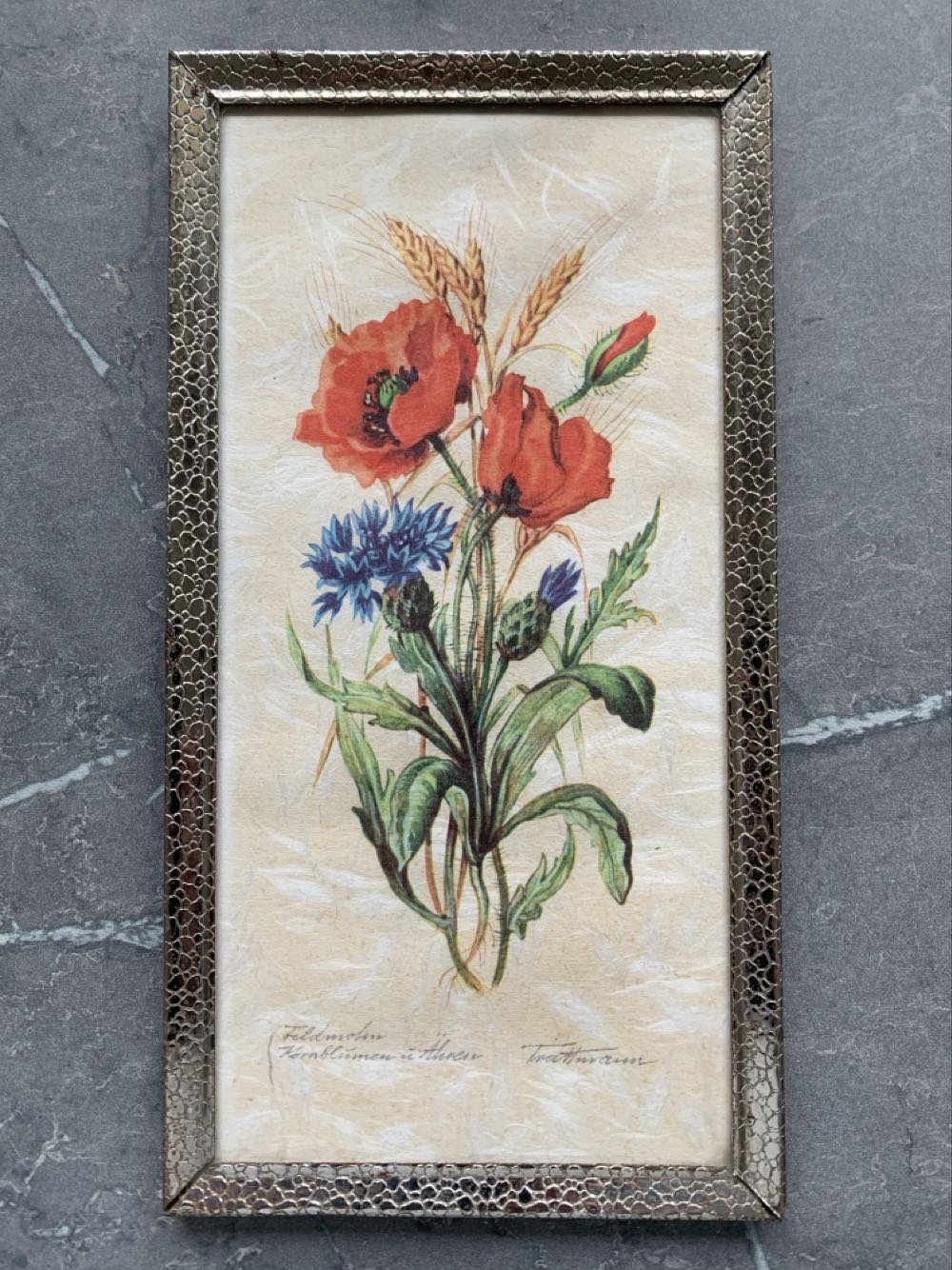 Memory Book Maker Basic Creator