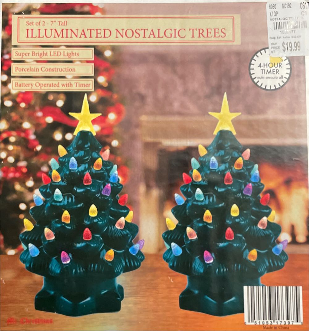 Steve & Genia Bedroom Painting 1