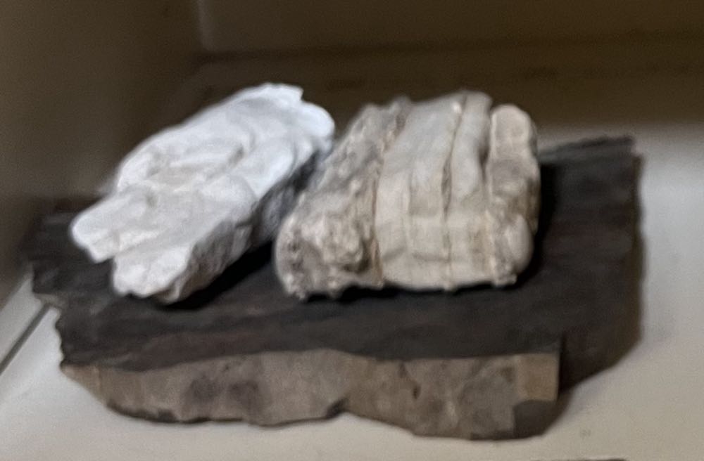 Niederlande Herakut Amsterdam 02