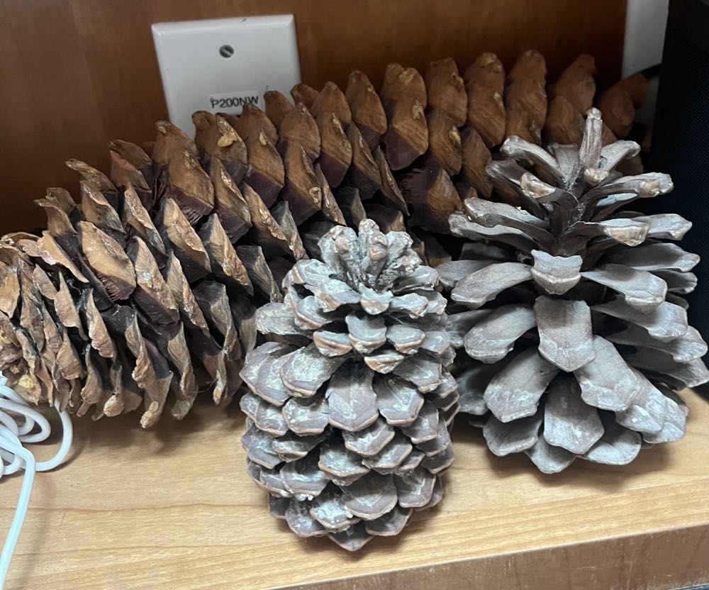 Daffy Table Top Series Limited Edition Looney Tunes