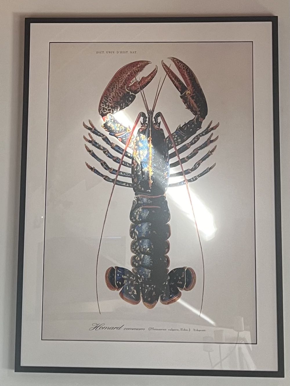 Supernatural Signed Poster