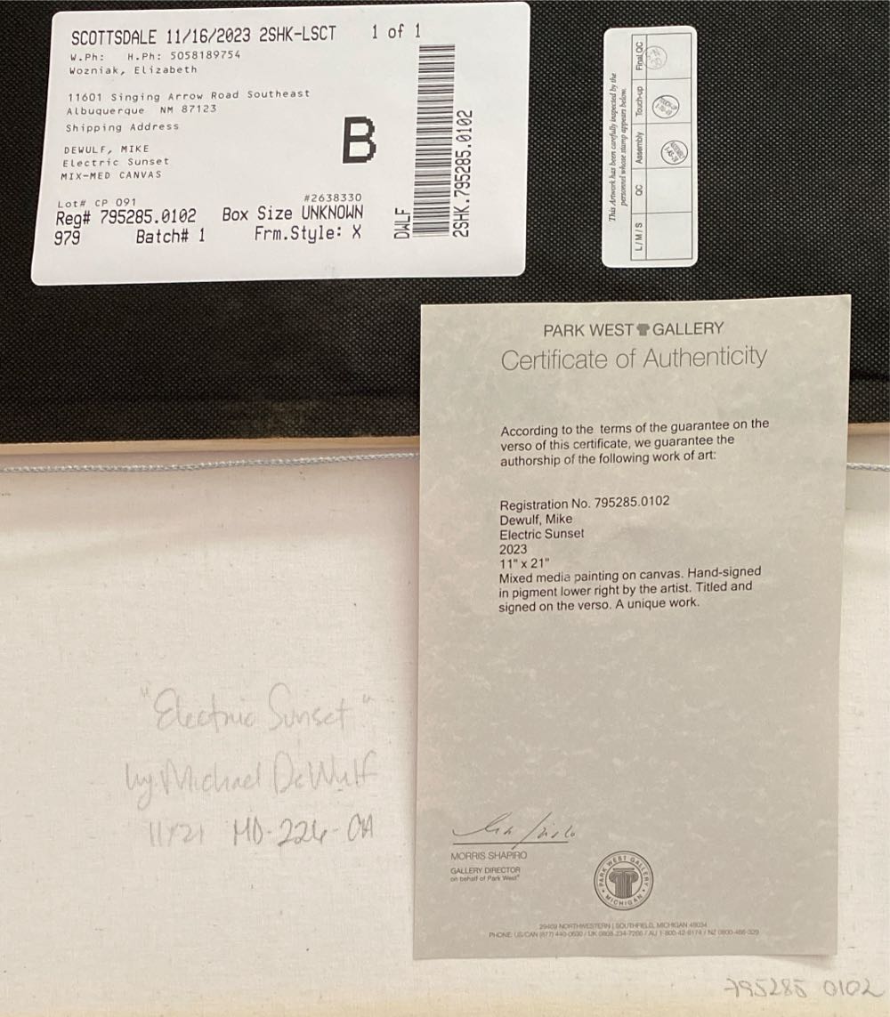 Electric Sunset - Michael DeWulf art collectible - Main Image 3