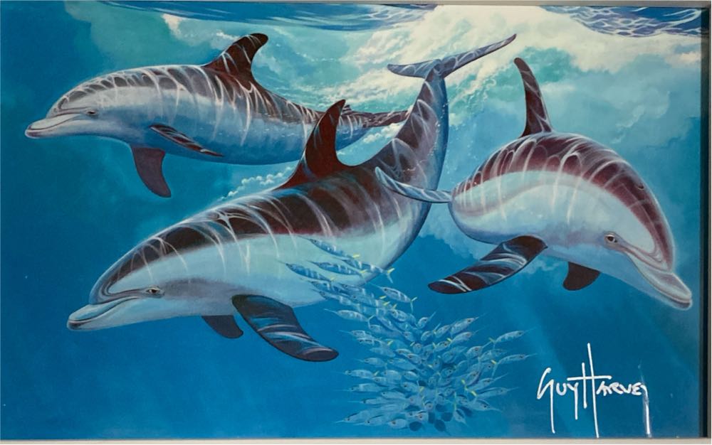 Nosin’ Around - Guy Harvey art collectible - Main Image 2