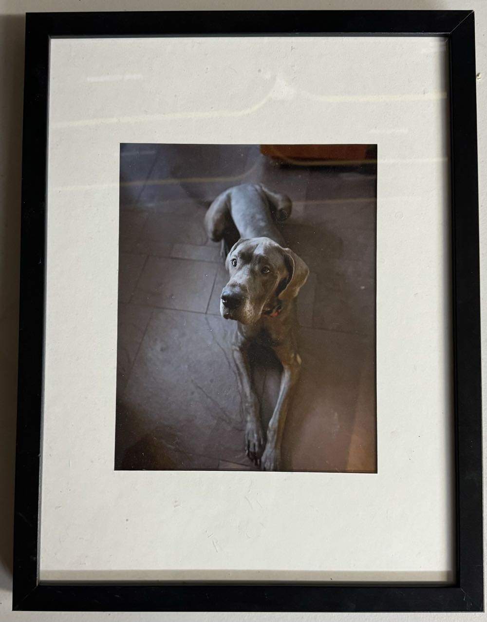 Image 34546