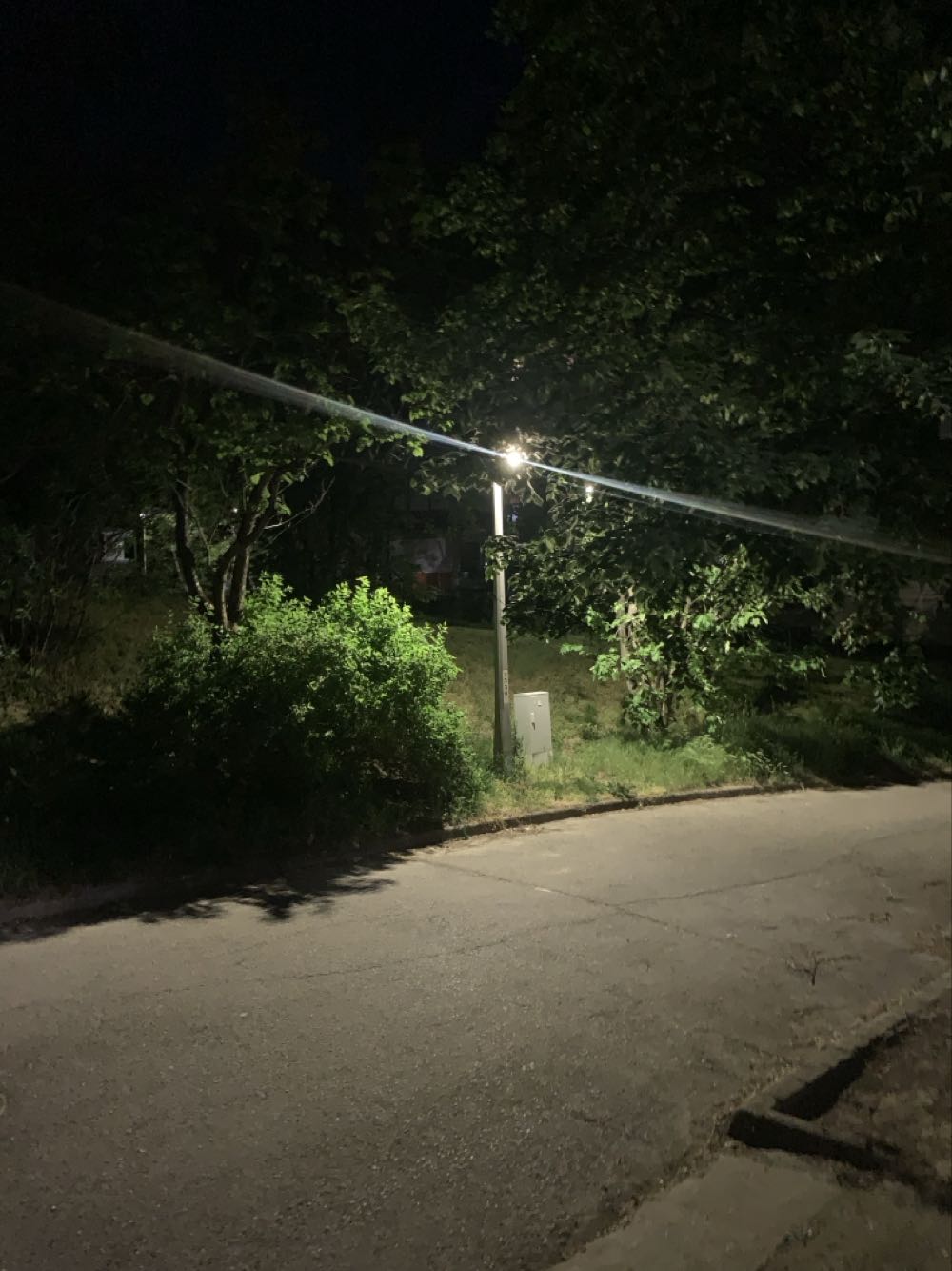 Salvador Dali Paradiso 30