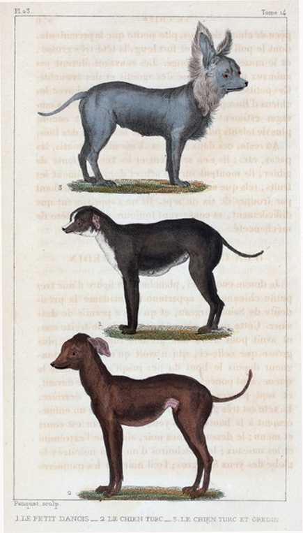 Drawing Of Eskimo Joe’s