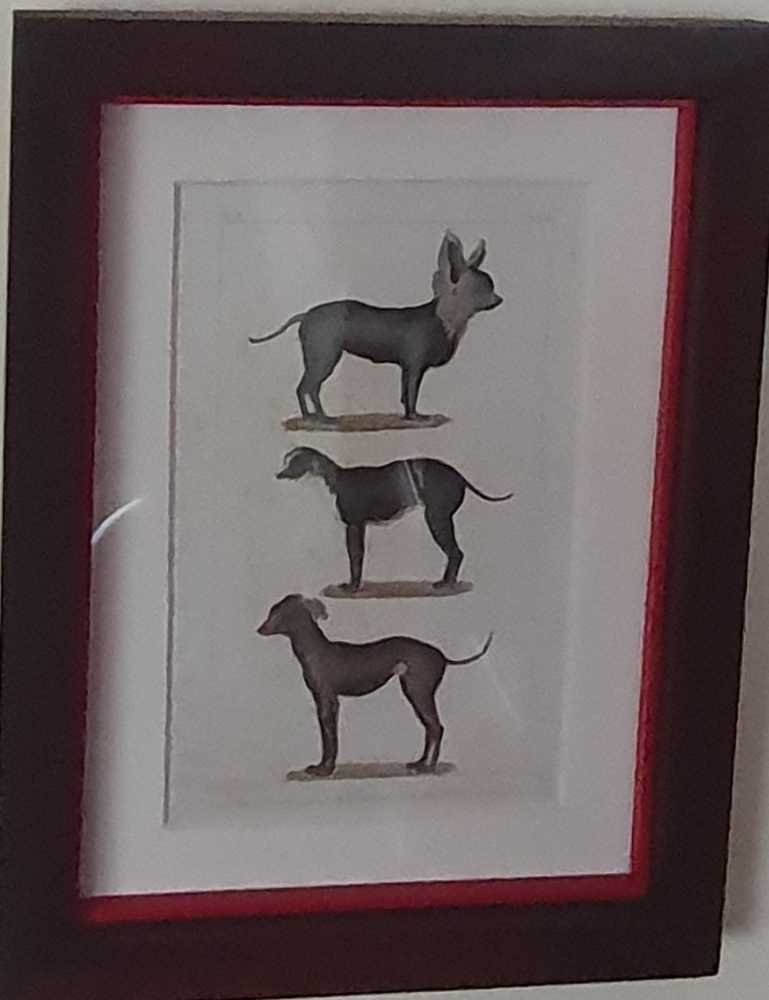 Cuvier Dogs  art collectible - Main Image 2