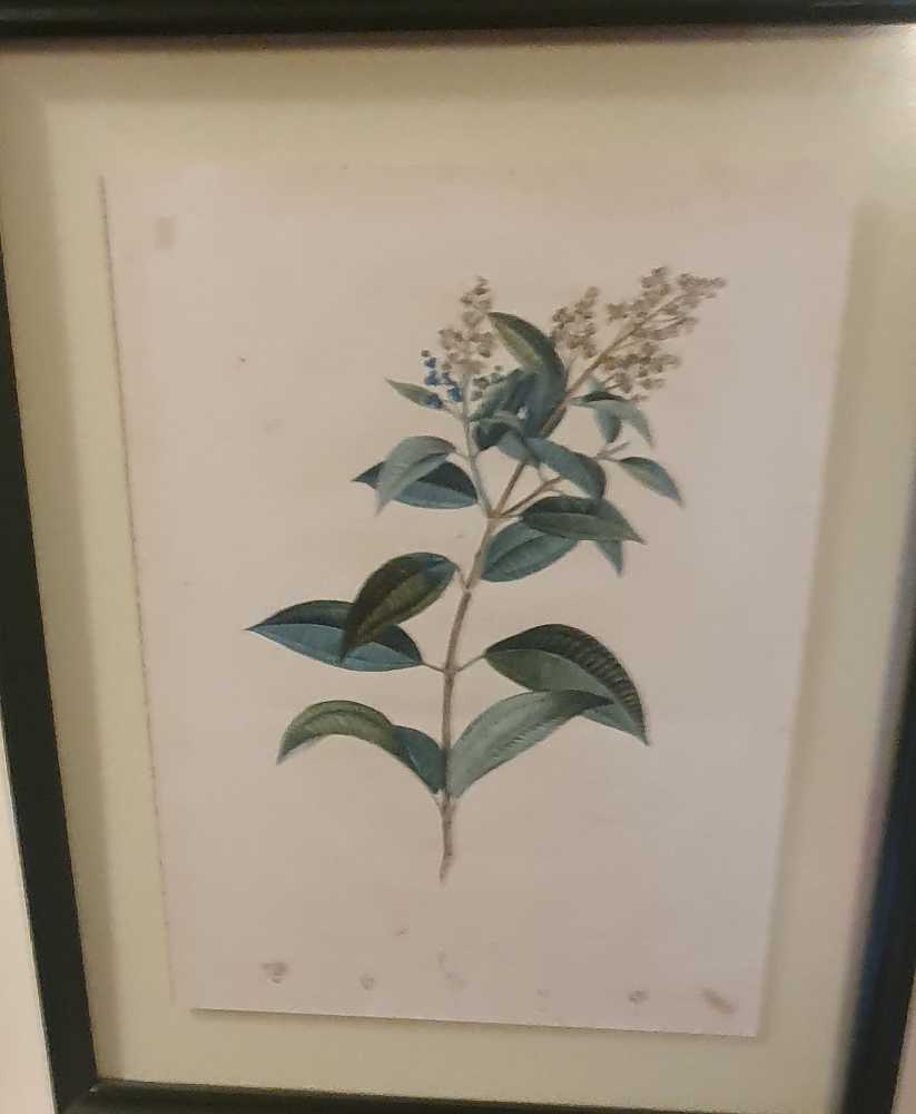 2024 Taupo Super400 Poster