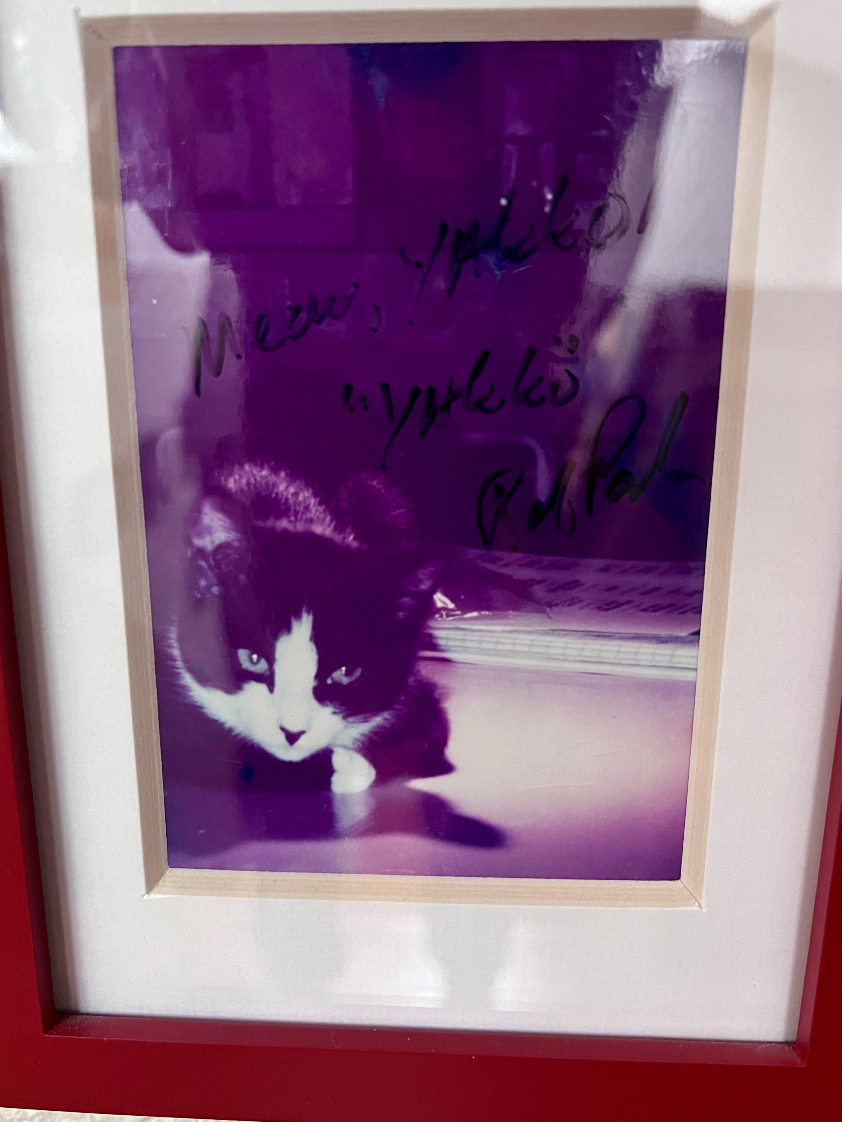 Yakko  art collectible - Main Image 2