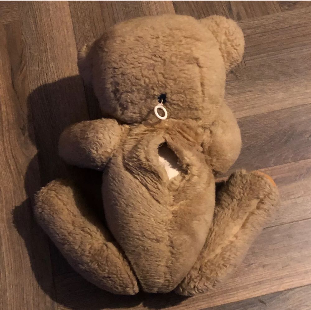 Nookie Bear - Roger D Courcey art collectible - Main Image 2