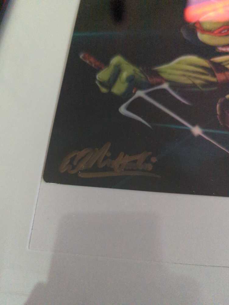 TMNT Metal Print - Eric Ninaltowski art collectible - Main Image 2