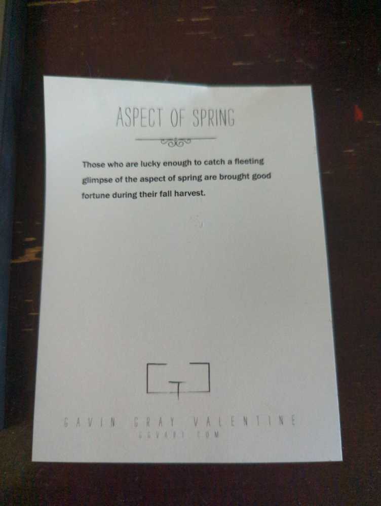 Aspect Of Spring - Gavin Gray Valentine art collectible - Main Image 2