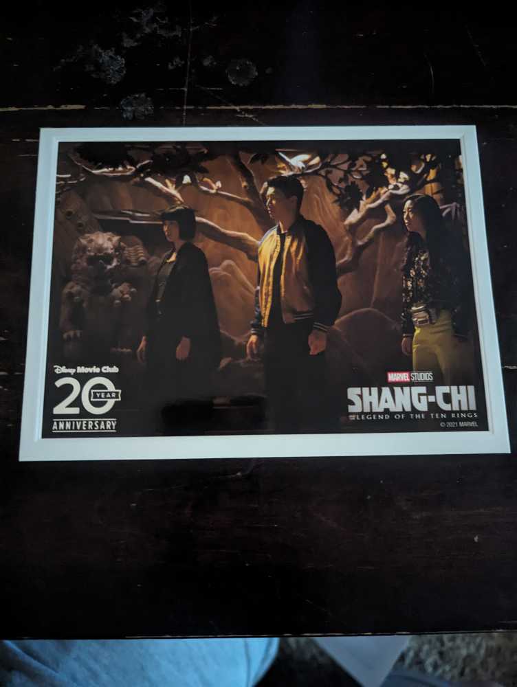 Comicon 2008 Iron Man