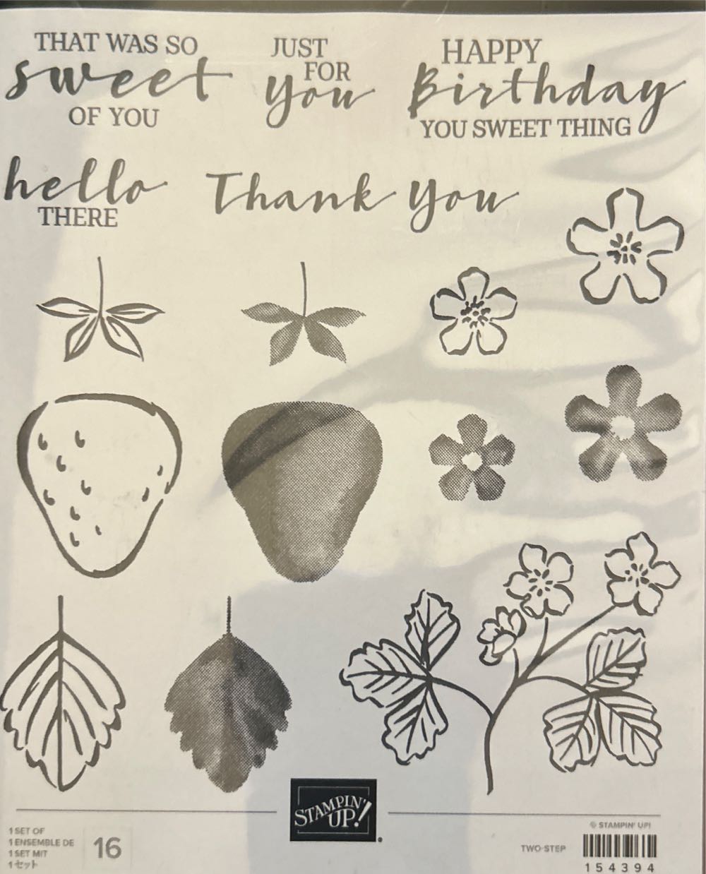 MICKEY MOUSE // FANTASIA // HAND PAINTED SOWA & REISER ETCHING #D/500