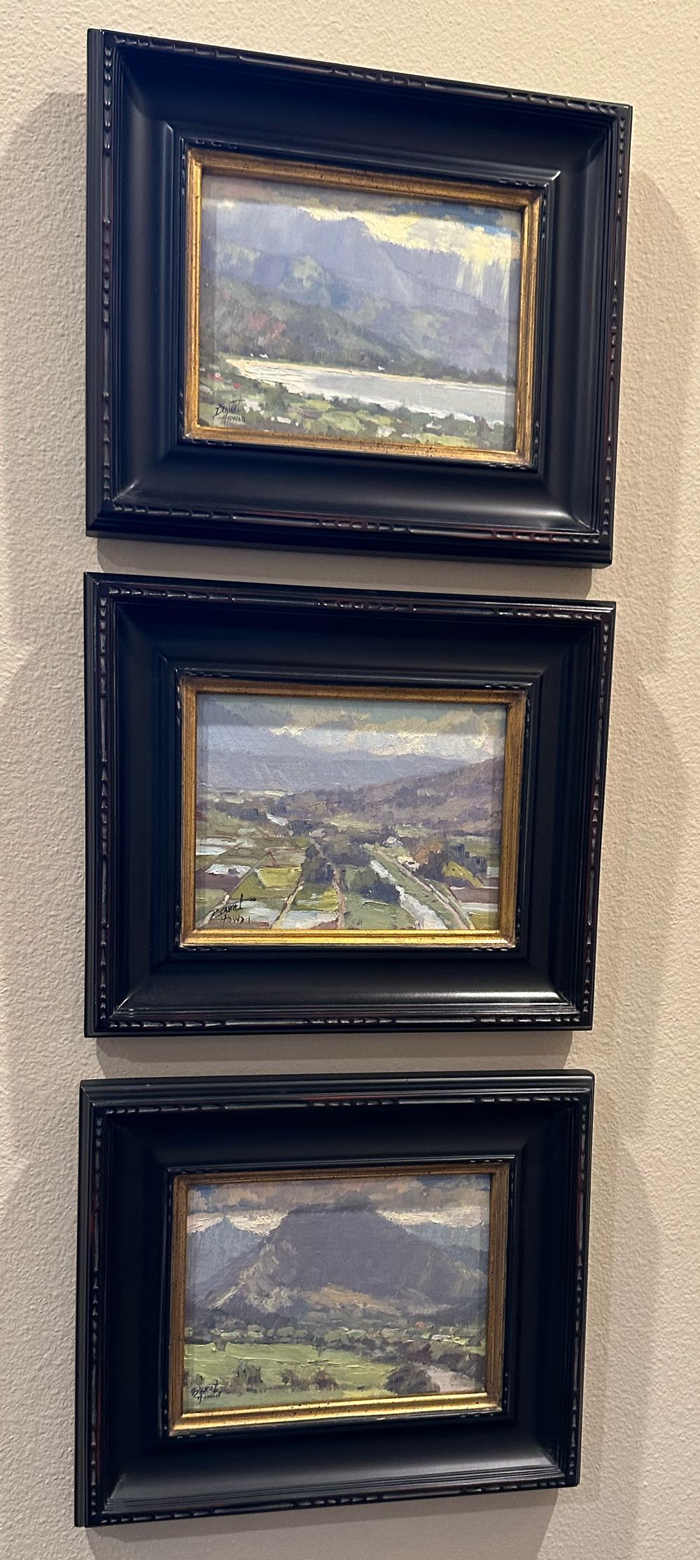 Hanalei Valley - Pierre Bouret art collectible - Main Image 2