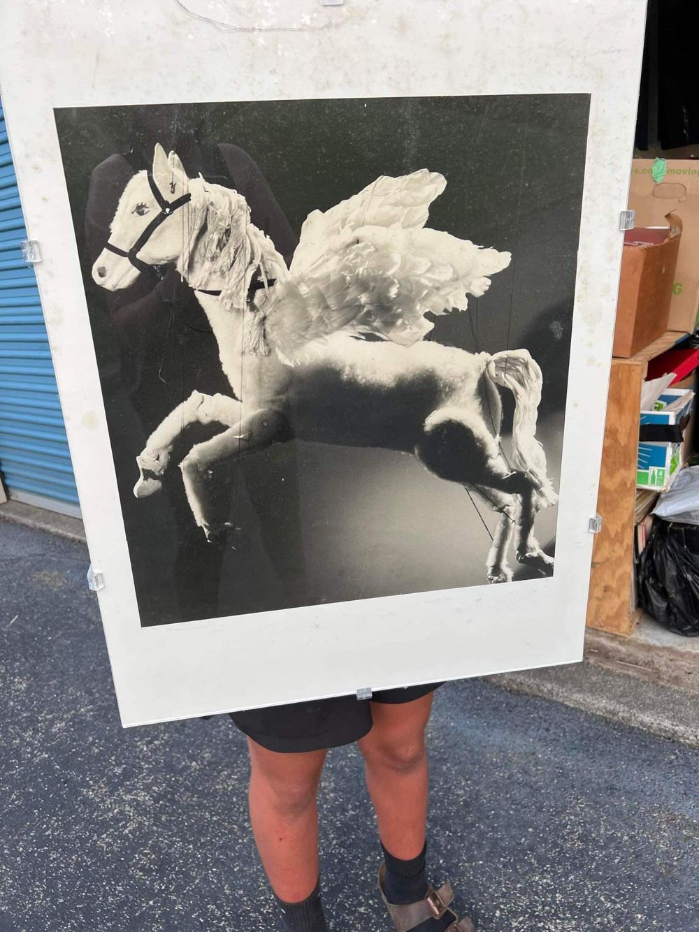 Pegasus Horse Marionette - Daniel Llords art collectible - Main Image 3