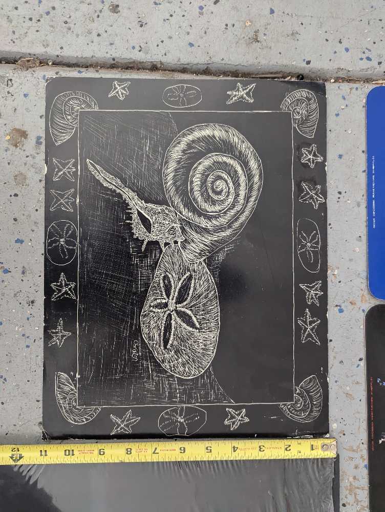 Sea Shells Still Life - Christen Watkins art collectible - Main Image 2