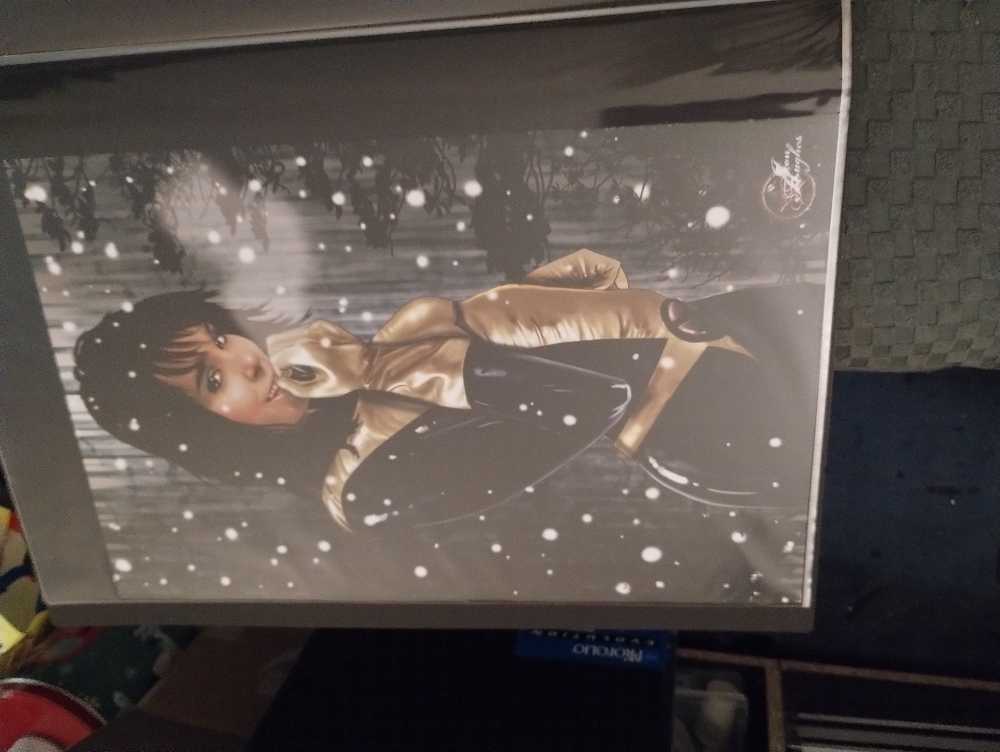 Afternoon In The Mission Valley